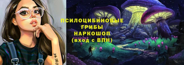 соль ск Аркадак