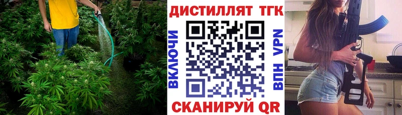 мега tor  Бокситогорск  Дистиллят ТГК концентрат 