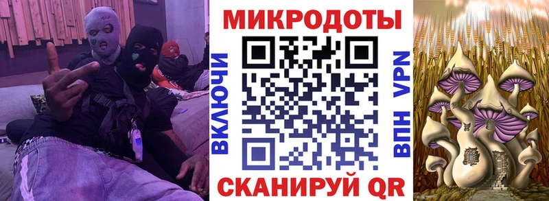Галлюциногенные грибы GOLDEN TEACHER  Бокситогорск 